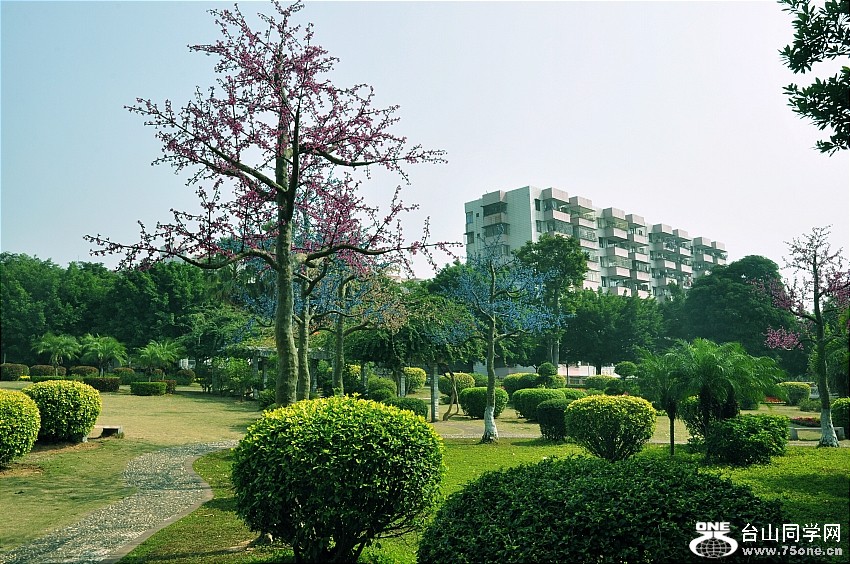 _CSC0197.JPG