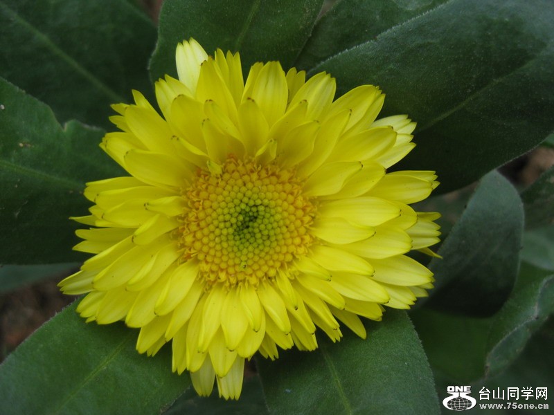 ݸ(2012.1.28-2.3) 108.jpg