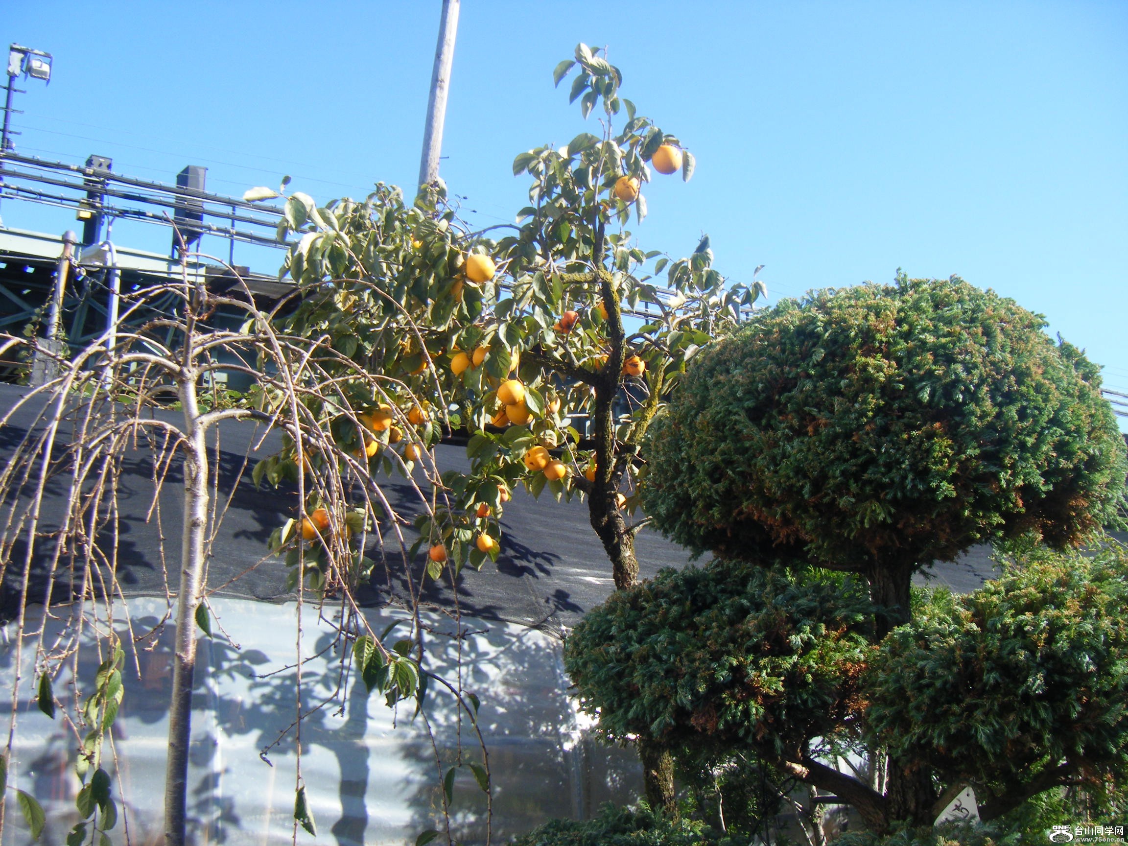 ~s(2011-10-11-26 838.JPG