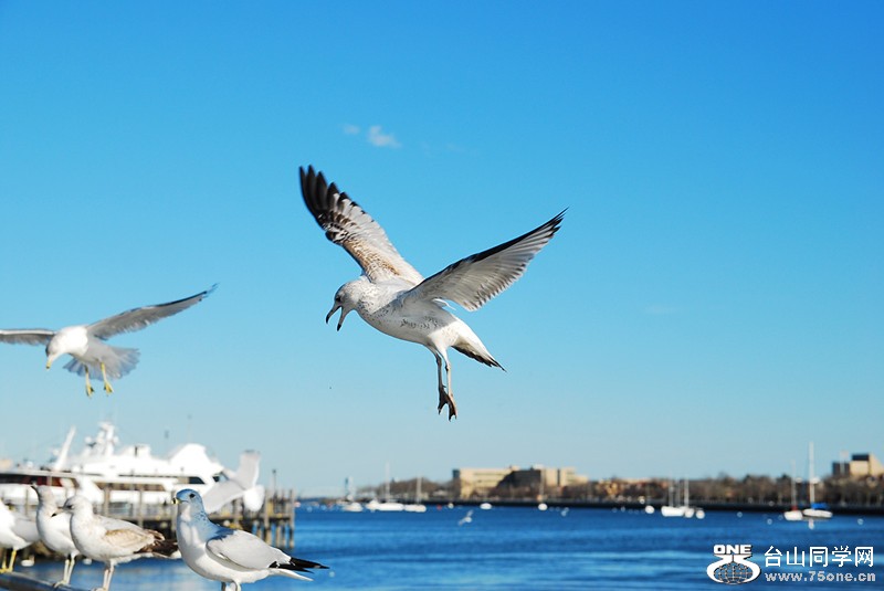 DSC_0231_.jpg