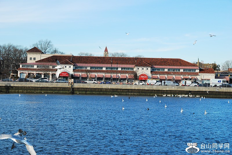 DSC_0273_.jpg