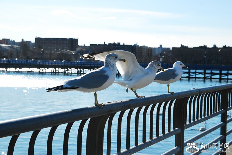 DSC_0215_.jpg