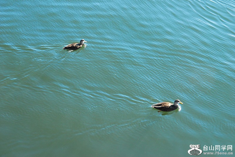 DSC_0219_.jpg