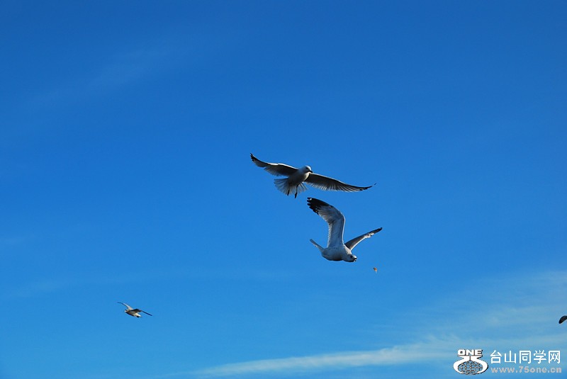 DSC_0310_.jpg