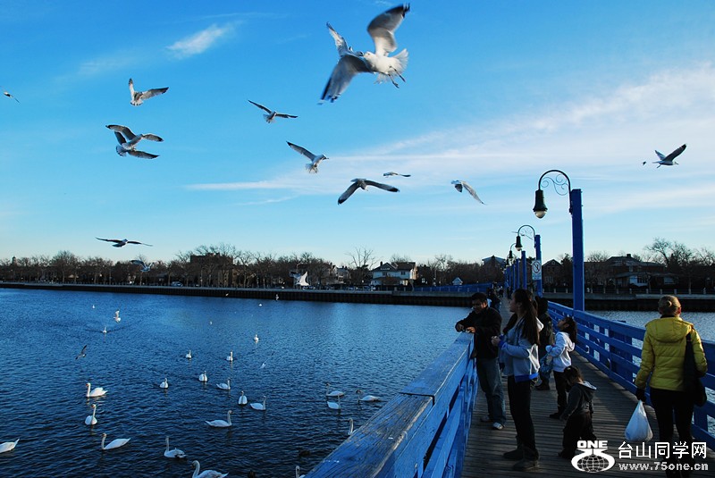 DSC_0323_.jpg