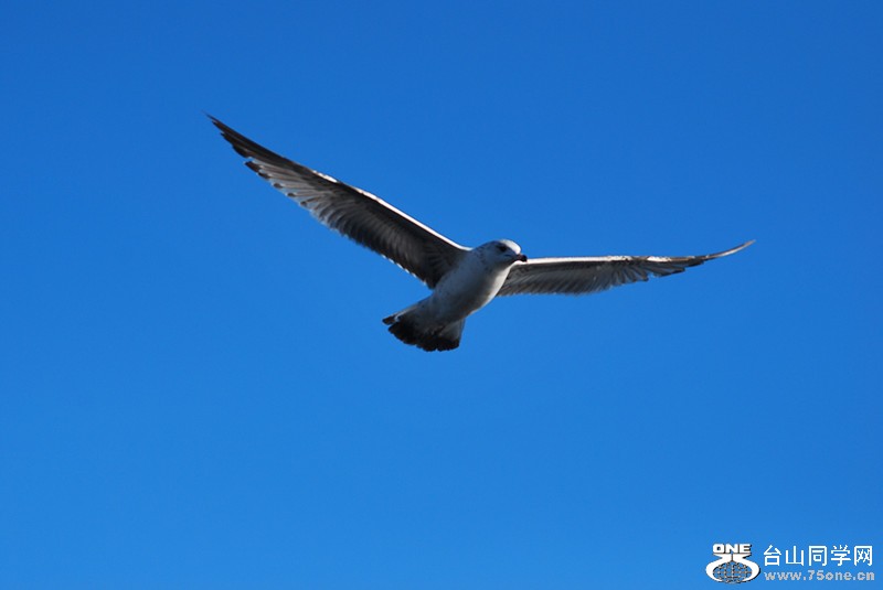 DSC_0245_.jpg