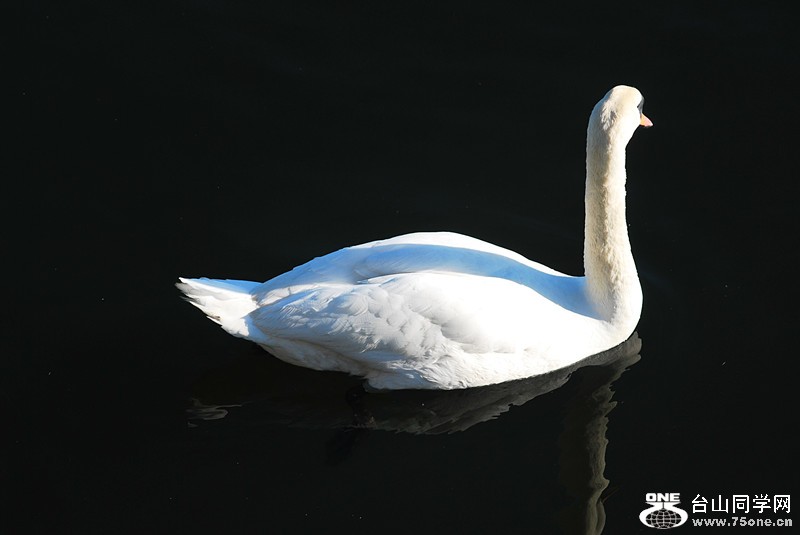 DSC_0235_.jpg
