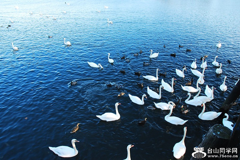 DSC_0328_.jpg