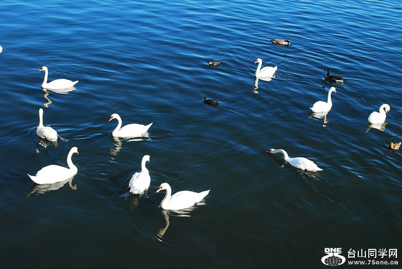 DSC_0224_.jpg