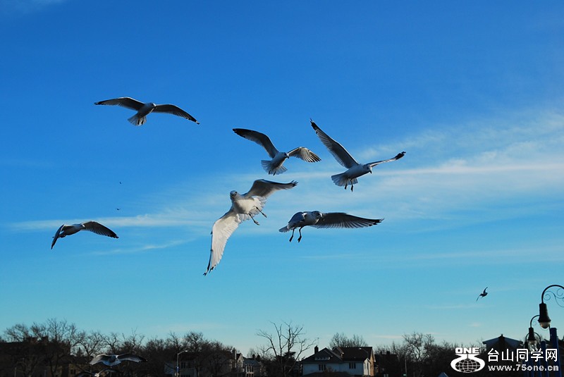 DSC_0321_.jpg