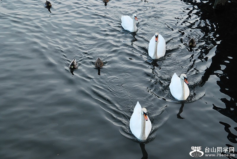 DSC_0377_.jpg