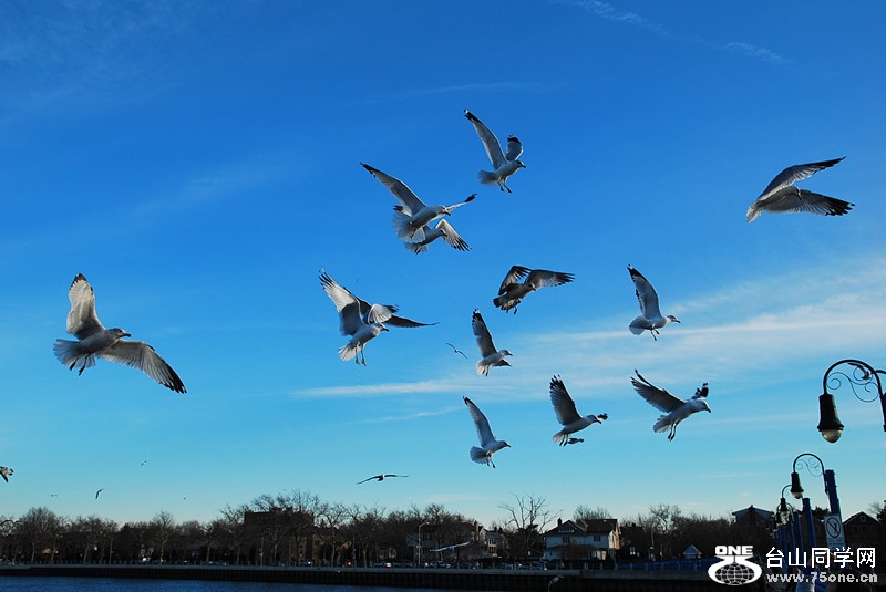 DSC_0317_.jpg