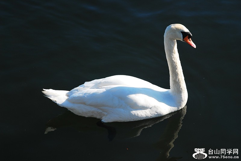 DSC_0236_.jpg