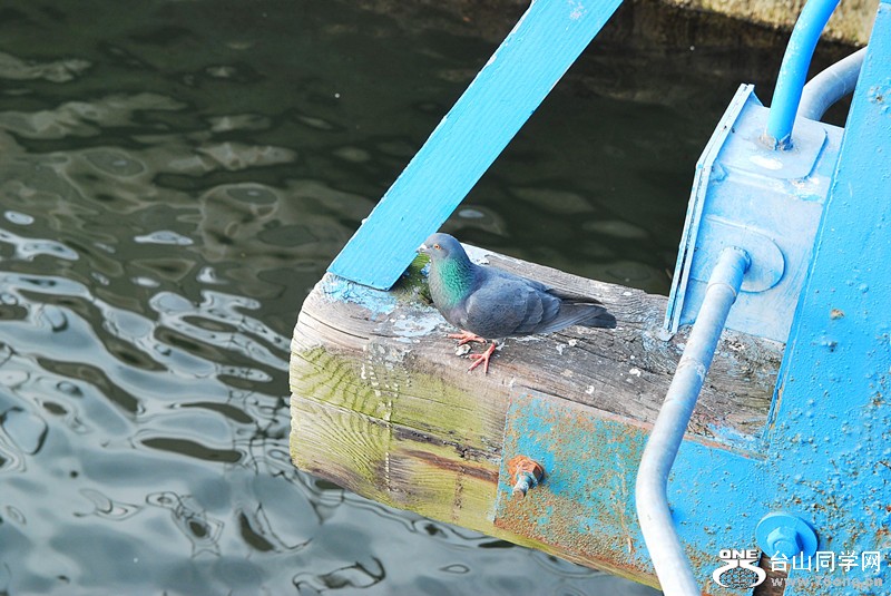 DSC_0371_.jpg