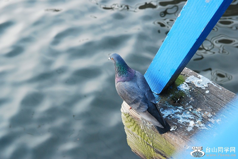 DSC_0372_.jpg