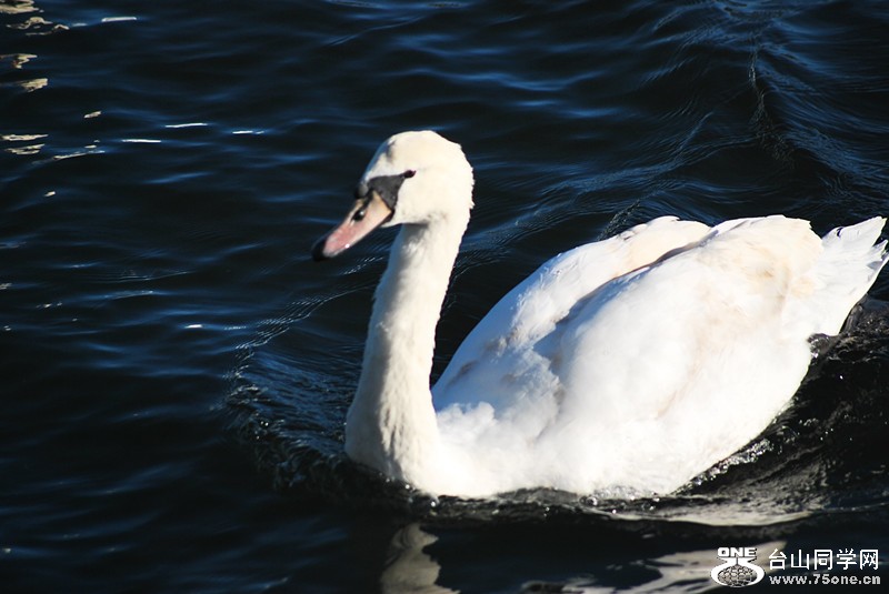 DSC_0240_.jpg