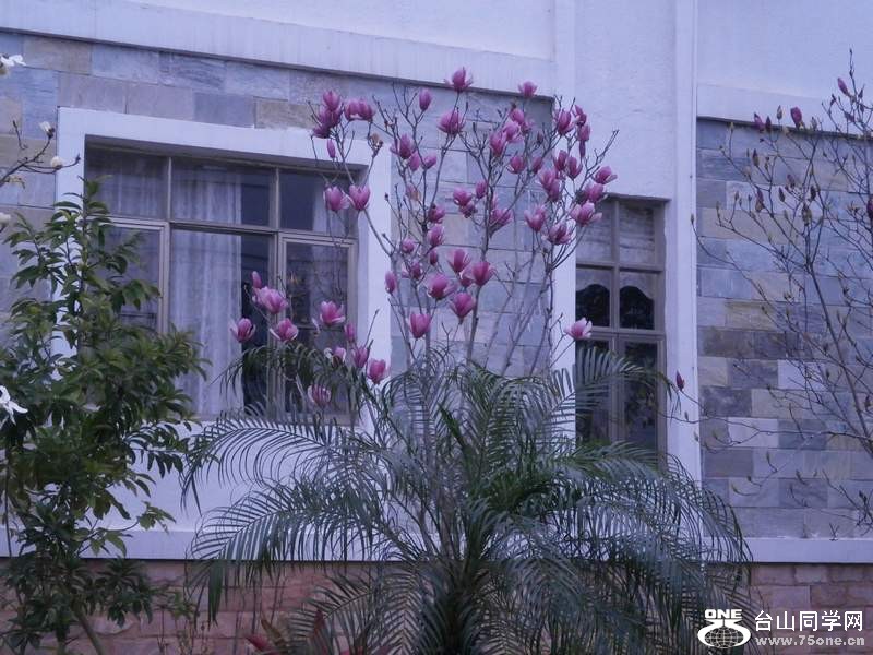 P2220283.jpg