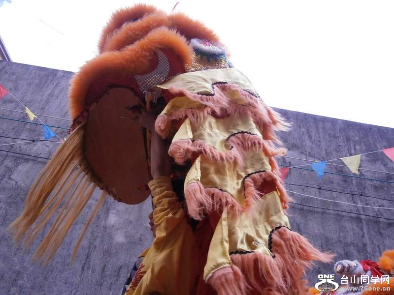 P2250767.jpg