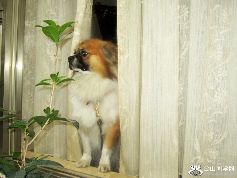 2012225 026_conew1.jpg