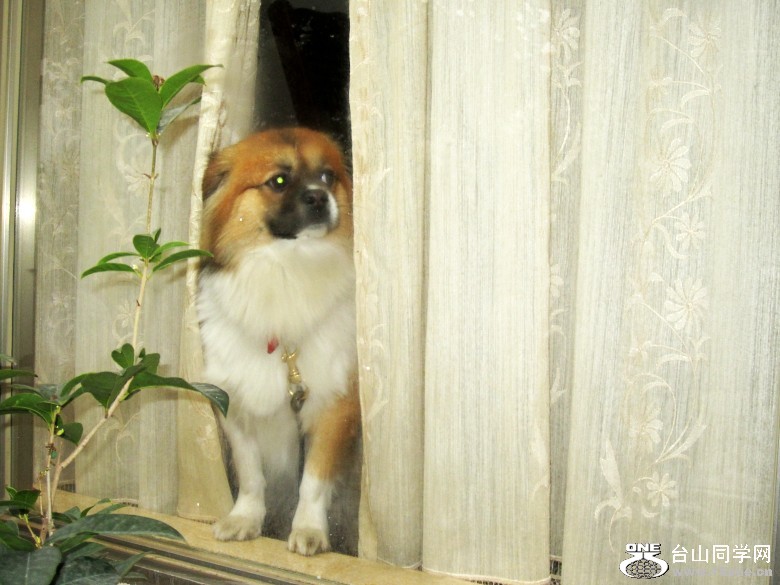2012225 025_conew1.jpg