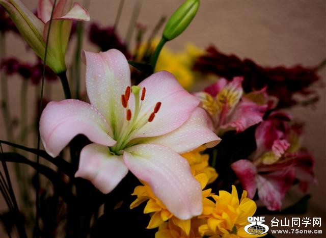 2012 flower 049.JPG1 (Small).jpg