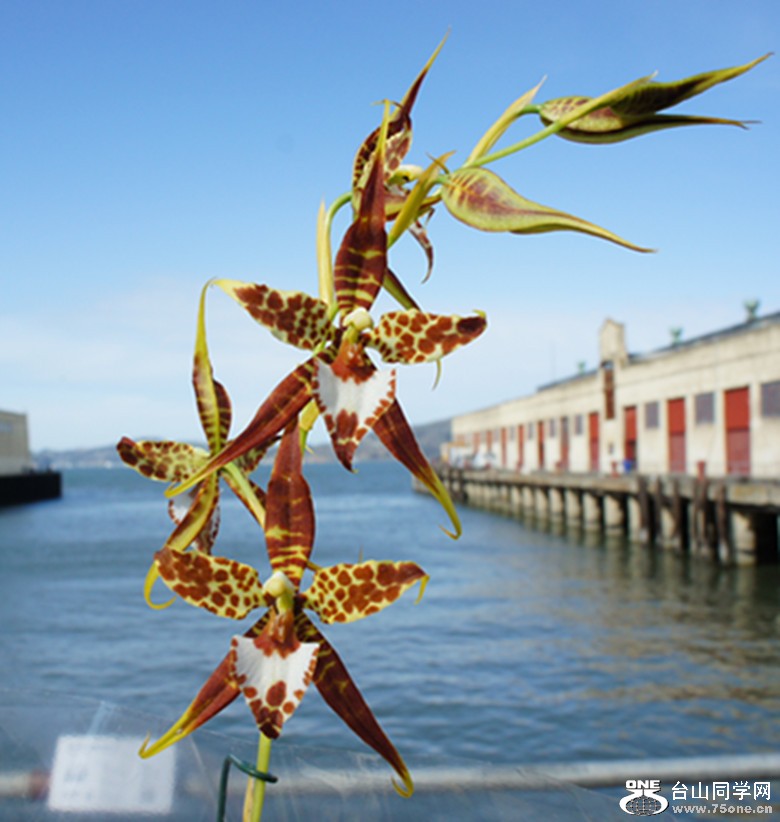DSC02375_.jpg