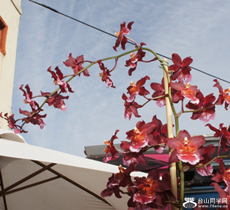DSC02362_.jpg