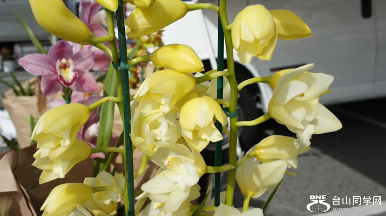 DSC02329_.jpg