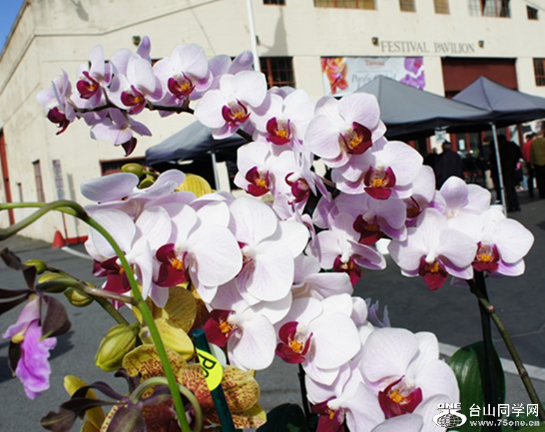 DSC02367_.jpg