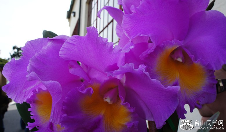DSC02359_.jpg