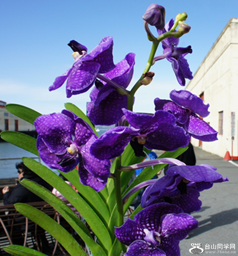 DSC02366_.jpg