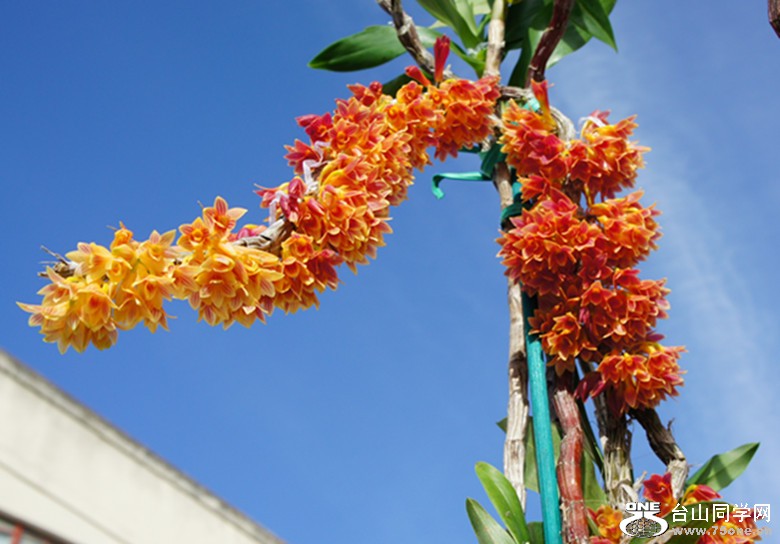 DSC02391_.jpg