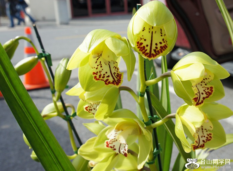 DSC02357_.jpg