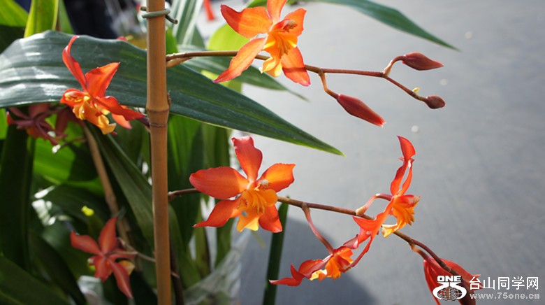 DSC02380_.jpg