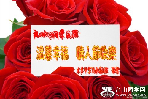 2457331_003727990000_2_conew1.jpg