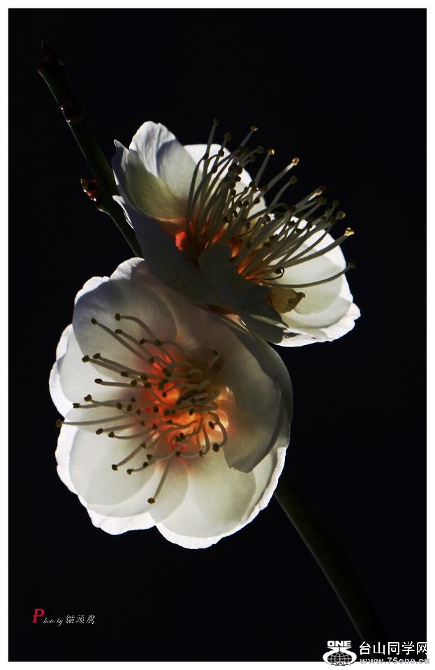 }u -÷2012 260-a-c.jpg