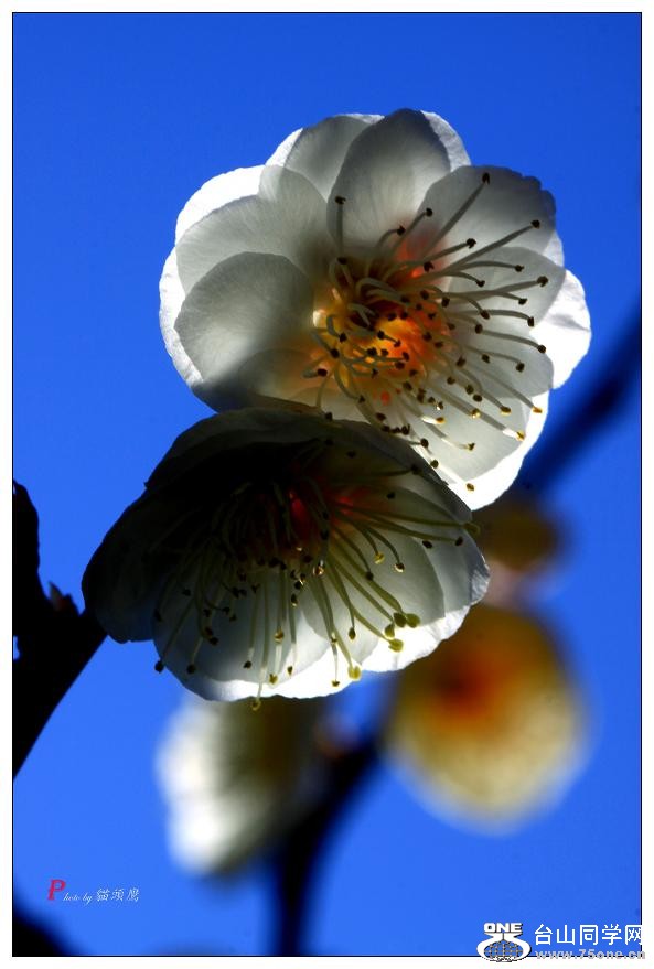 }u -÷2012 339-a.jpg