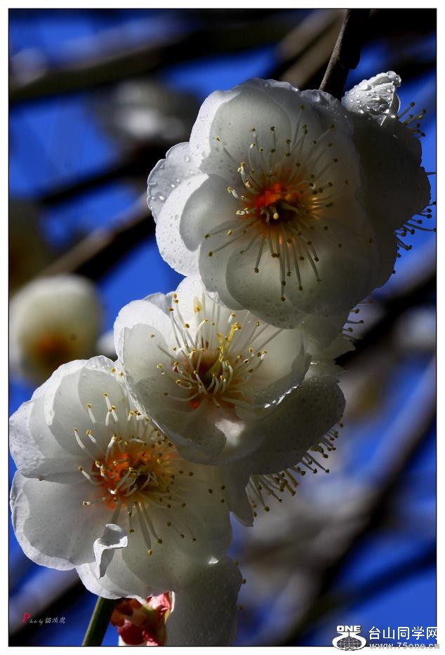 }u -÷2012 399-a.jpg