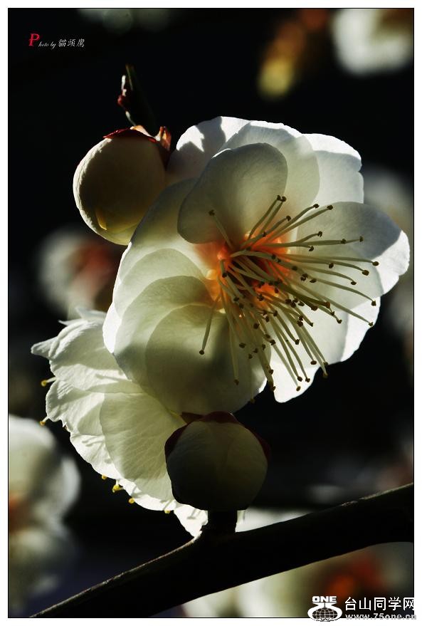 }u -÷2012 319-a.jpg