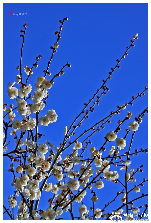 }u -÷2012 355-a-c.jpg