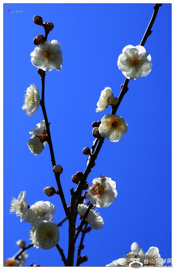 }u -}u -÷2012 377-1.jpg