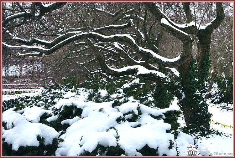 dsc_7584.jpg