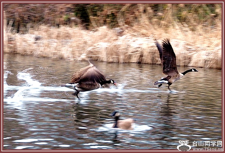 dsc_0587___.jpg