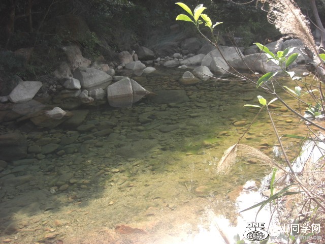 CIMG6961.JPG