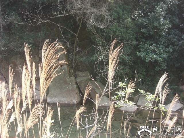 CIMG6966.JPG