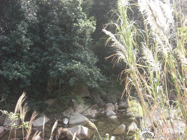 CIMG6965.JPG