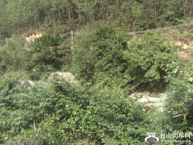 CIMG6934.JPG
