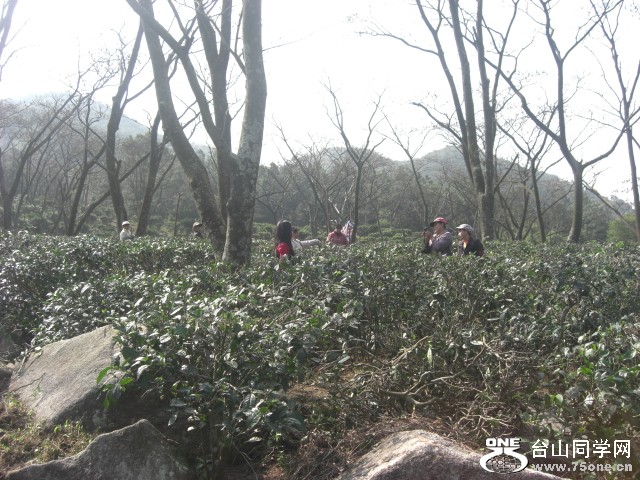 CIMG6938.JPG