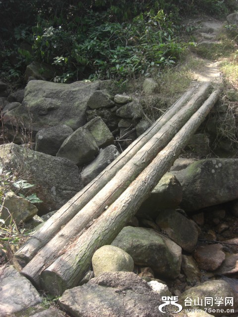 CIMG6952.JPG