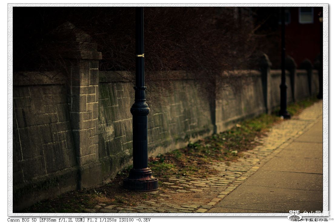 IMG_3657gb.jpg
